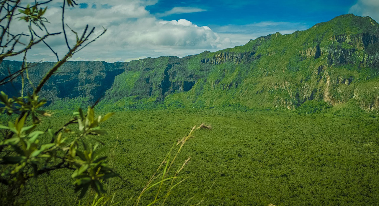 Mt Kenya Forest